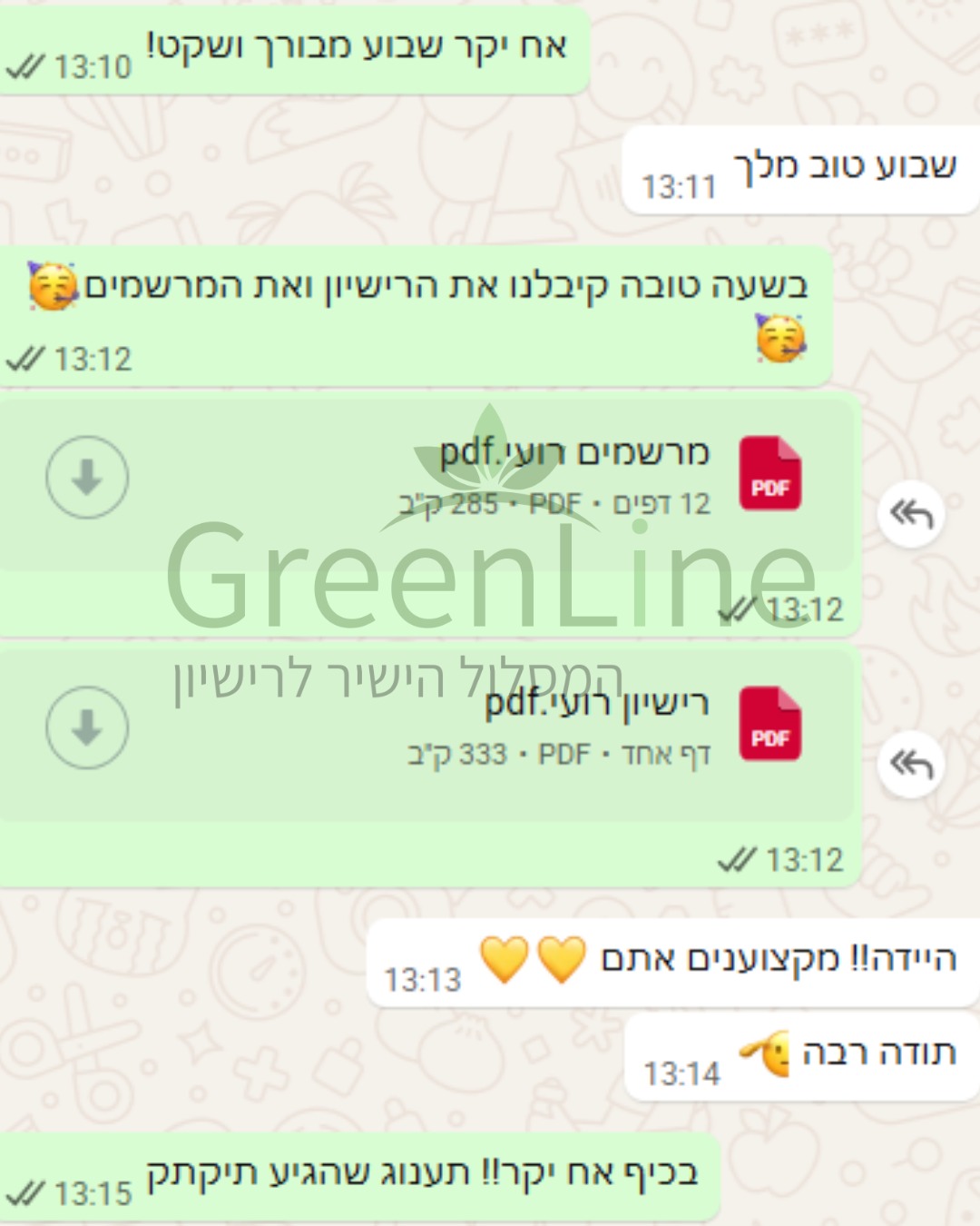 המלצת לקוח אמיתית — רועי: מקצוענים, תודה רבה